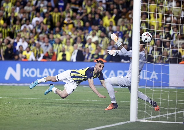 使用面积和 使用面积和