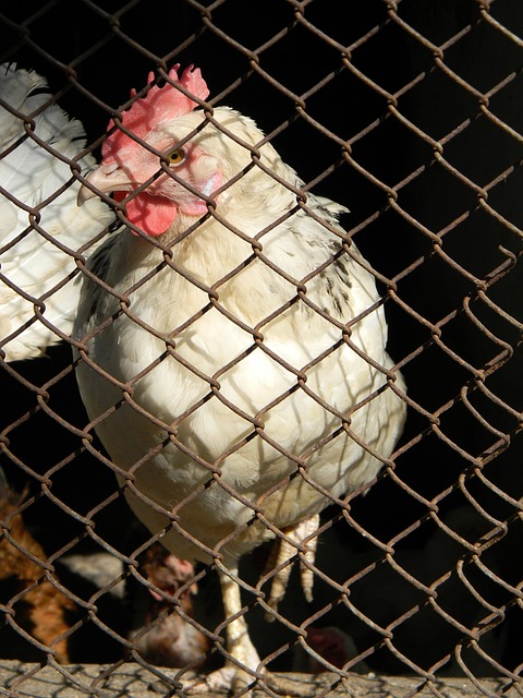 再度提升了 再度提升了