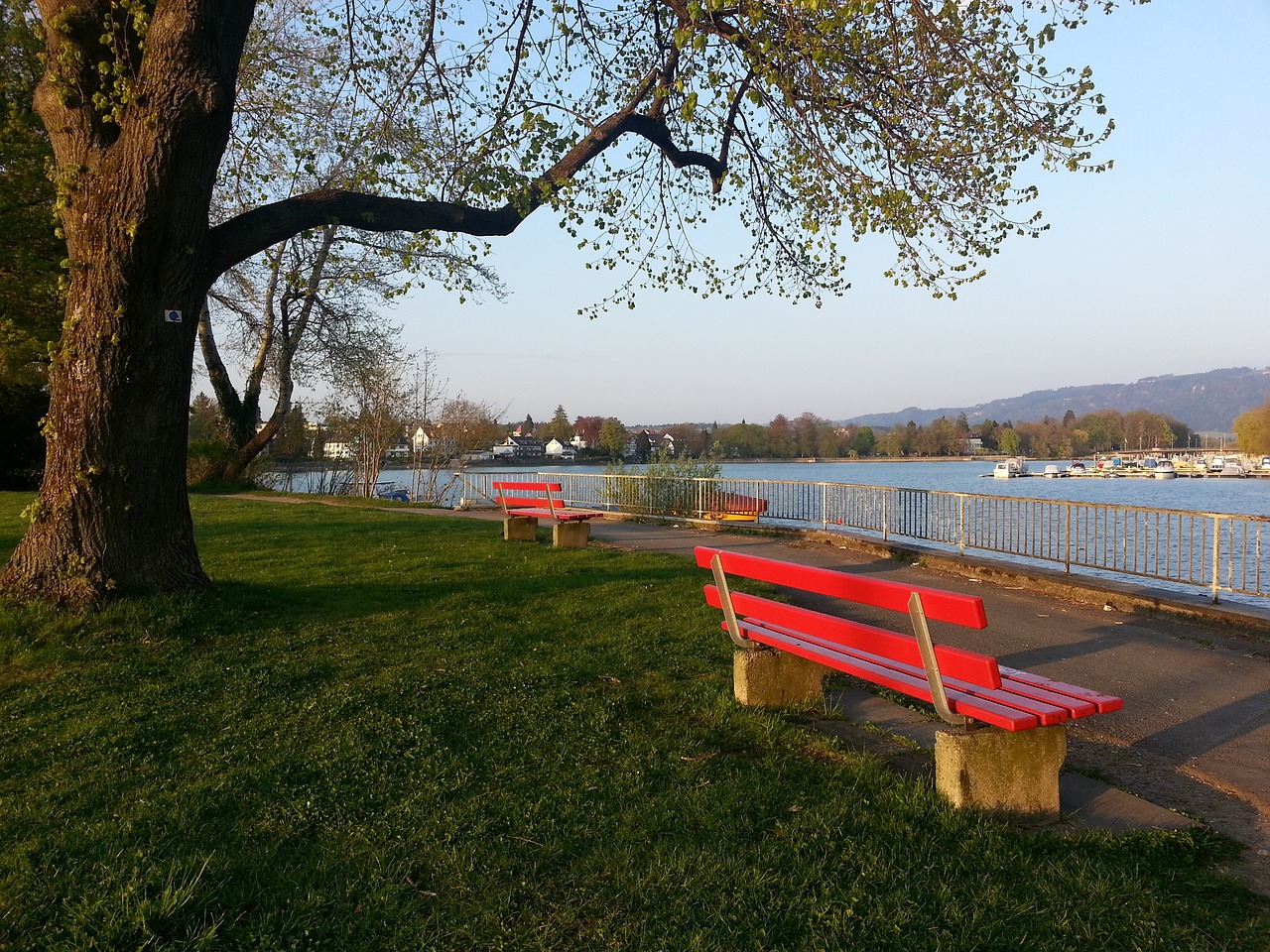 獅子山顶悬 獅子山顶悬