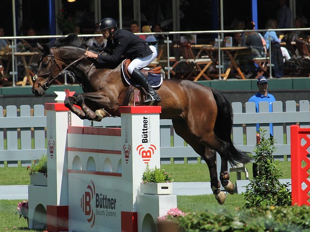 180万欧！塞鸟成为中国身价最高的球员 武磊第2.